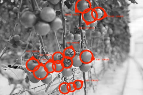 agriculture-02